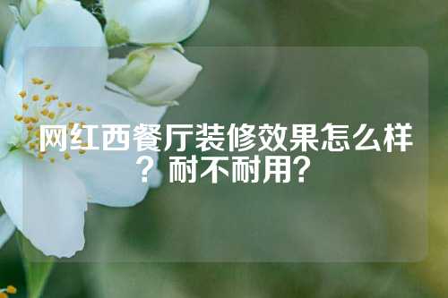 网红西餐厅装修效果怎么样？耐不耐用？