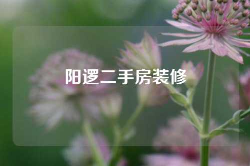 阳逻二手房装修