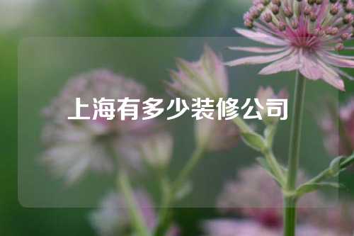 上海有多少装修公司