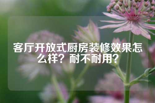 客厅开放式厨房装修效果怎么样？耐不耐用？