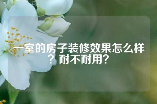 一室的房子装修效果怎么样？耐不耐用？