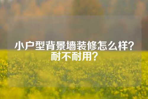 小户型背景墙装修怎么样？耐不耐用？