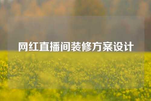 网红直播间装修方案设计