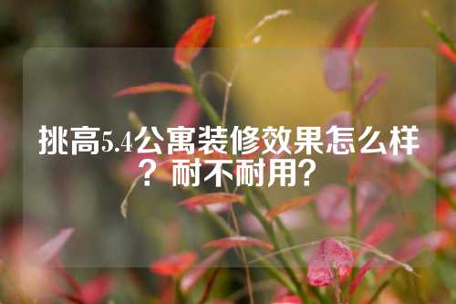 挑高5.4公寓装修效果怎么样？耐不耐用？