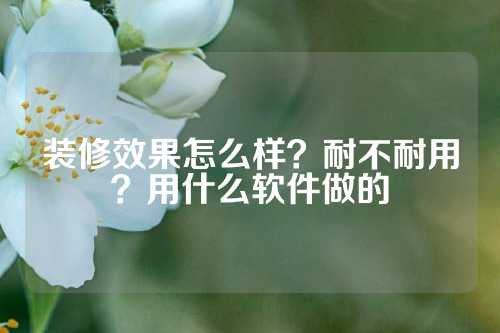 装修效果怎么样？耐不耐用？用什么软件做的