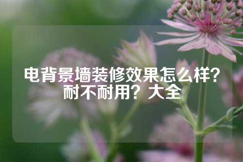 电背景墙装修效果怎么样？耐不耐用？大全