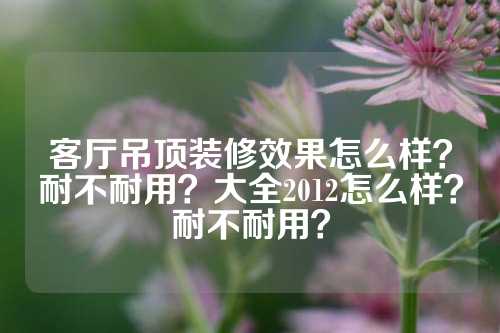 客厅吊顶装修效果怎么样？耐不耐用？大全2012怎么样？耐不耐用？