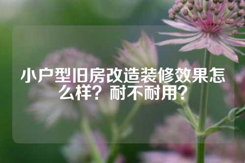 小户型旧房改造装修效果怎么样？耐不耐用？