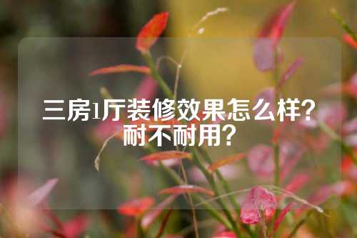 三房1厅装修效果怎么样？耐不耐用？