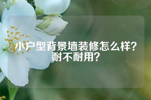 小户型背景墙装修怎么样？耐不耐用？