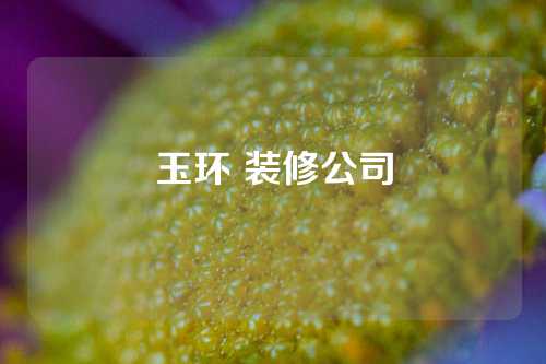 玉环 装修公司