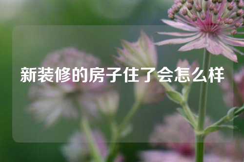 新装修的房子住了会怎么样