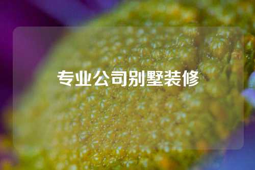 专业公司别墅装修