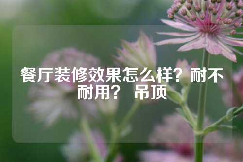 餐厅装修效果怎么样？耐不耐用？ 吊顶