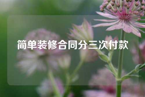 简单装修合同分三次付款