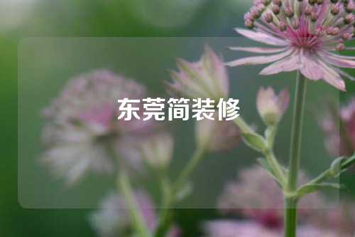 东莞简装修