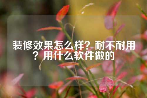 装修效果怎么样？耐不耐用？用什么软件做的