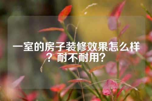 一室的房子装修效果怎么样？耐不耐用？