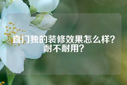 直门独的装修效果怎么样？耐不耐用？