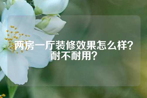 两房一厅装修效果怎么样？耐不耐用？