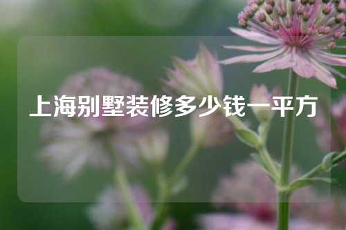 上海别墅装修多少钱一平方