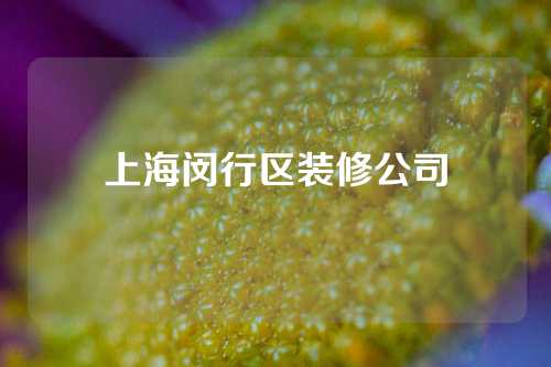 上海闵行区装修公司