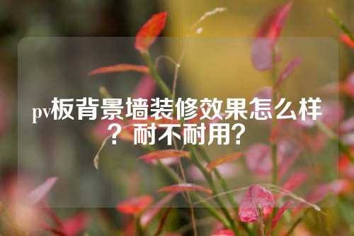 pv板背景墙装修效果怎么样？耐不耐用？