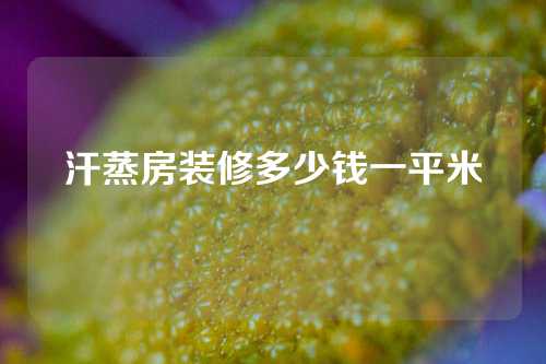 汗蒸房装修多少钱一平米