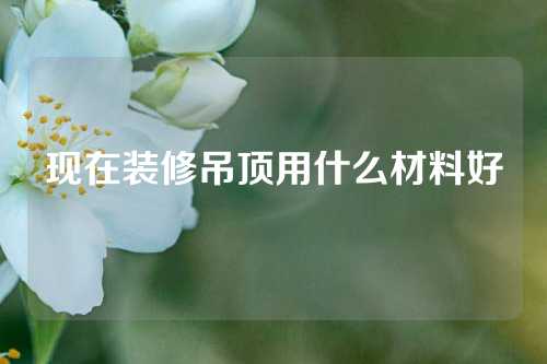 现在装修吊顶用什么材料好