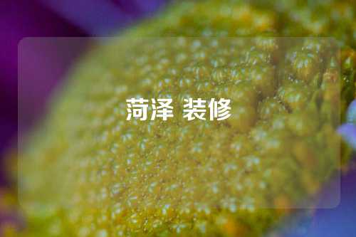 菏泽 装修