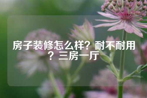 房子装修怎么样？耐不耐用？三房一厅