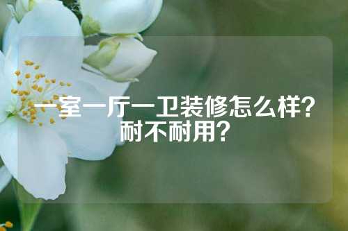 一室一厅一卫装修怎么样？耐不耐用？