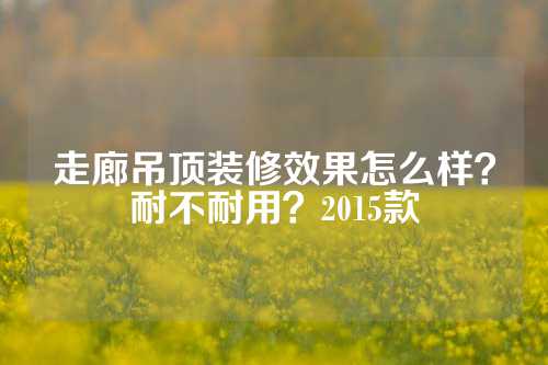 走廊吊顶装修效果怎么样？耐不耐用？2015款