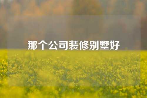 那个公司装修别墅好