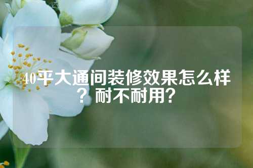 40平大通间装修效果怎么样？耐不耐用？