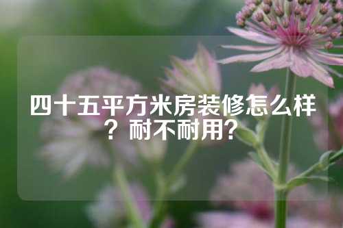 四十五平方米房装修怎么样？耐不耐用？