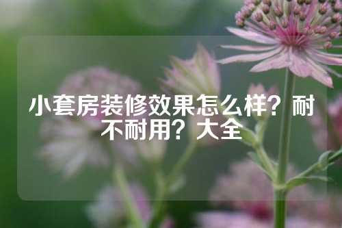 小套房装修效果怎么样？耐不耐用？大全