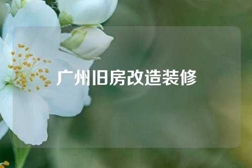 广州旧房改造装修