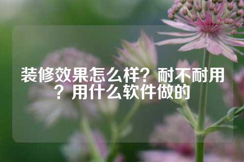 装修效果怎么样？耐不耐用？用什么软件做的