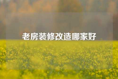 老房装修改造哪家好