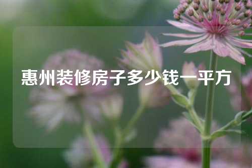 惠州装修房子多少钱一平方