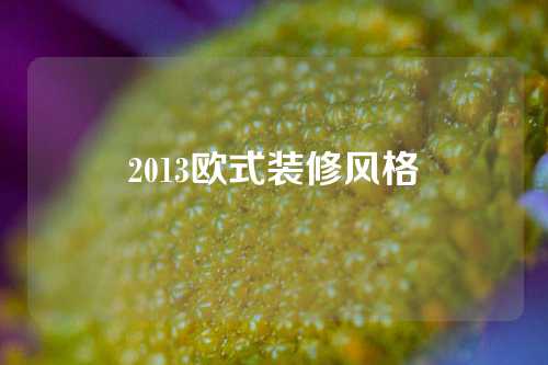 2013欧式装修风格