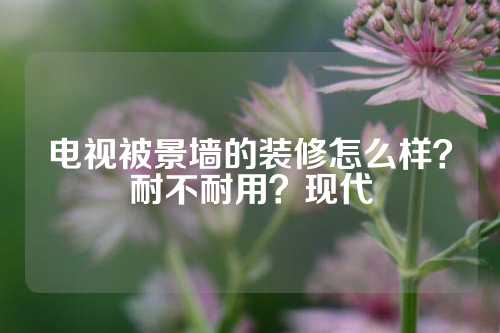 电视被景墙的装修怎么样？耐不耐用？现代