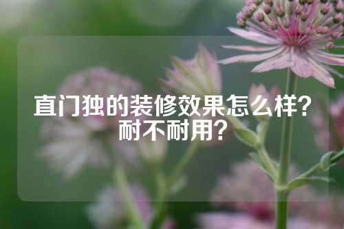 直门独的装修效果怎么样？耐不耐用？