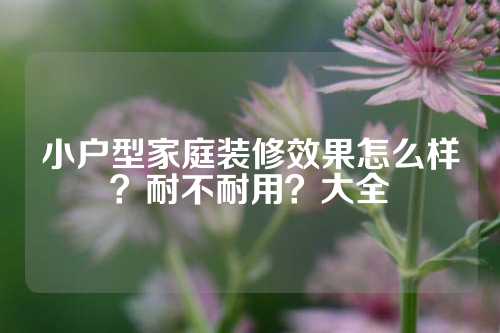 小户型家庭装修效果怎么样？耐不耐用？大全