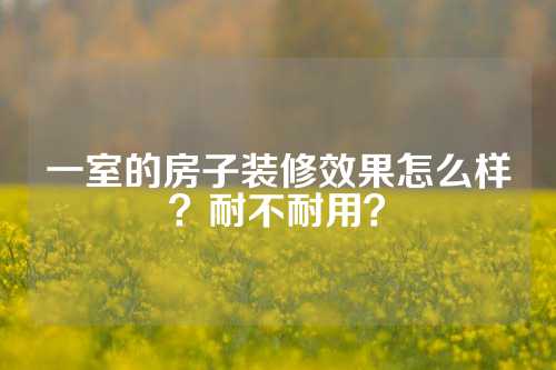 一室的房子装修效果怎么样？耐不耐用？