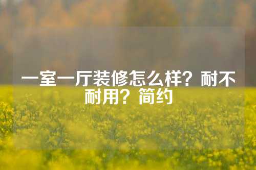 一室一厅装修怎么样？耐不耐用？简约