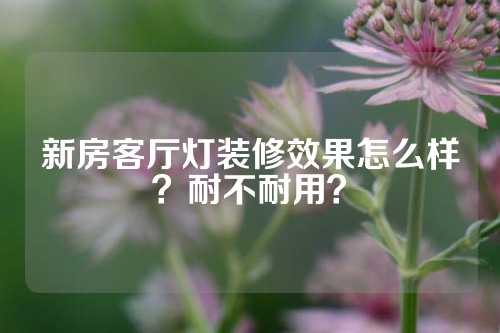 新房客厅灯装修效果怎么样？耐不耐用？