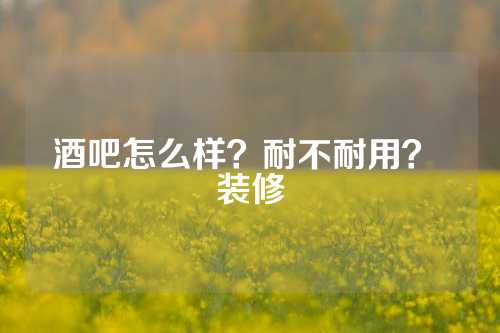 酒吧怎么样？耐不耐用？ 装修