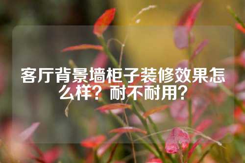 客厅背景墙柜子装修效果怎么样？耐不耐用？